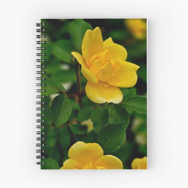 Item preview, Yellow Rose Bloom Photo designed and sold by NikaNavi.