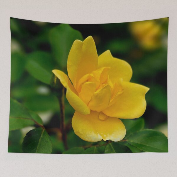 Item preview, Yellow Rose Bloom Photo designed and sold by NikaNavi.