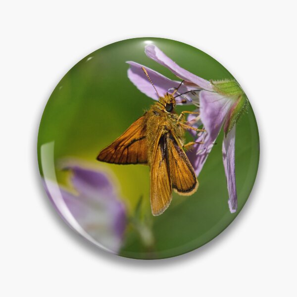 Item preview, Sweet. Large skipper designed and sold by Jouko Lehto Photography.