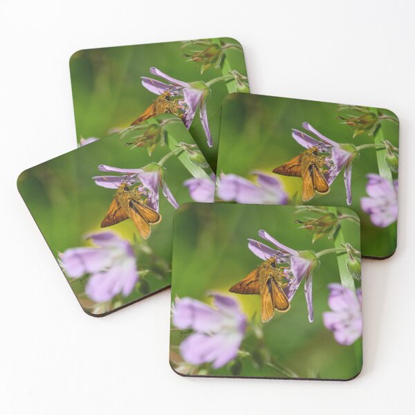Item preview, Sweet. Large skipper designed and sold by Jouko Lehto Photography.