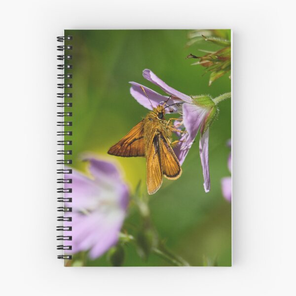 Item preview, Sweet. Large skipper designed and sold by Jouko Lehto Photography.