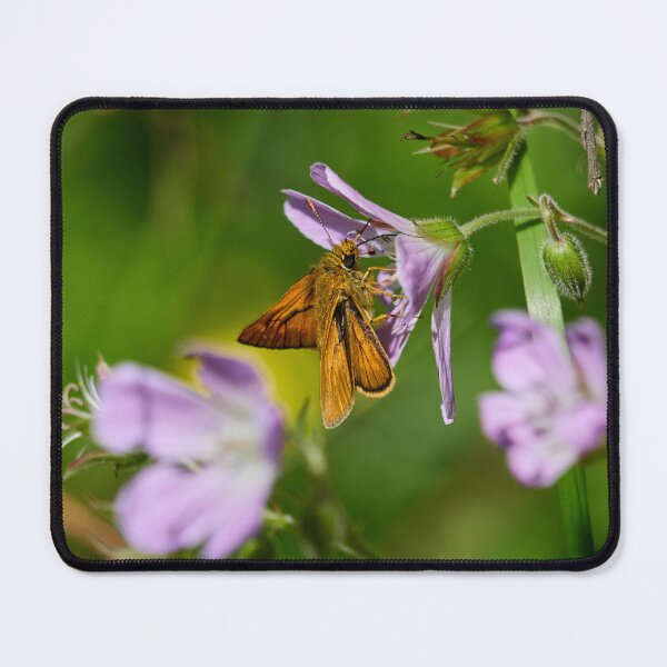 Item preview, Sweet. Large skipper designed and sold by Jouko Lehto Photography.
