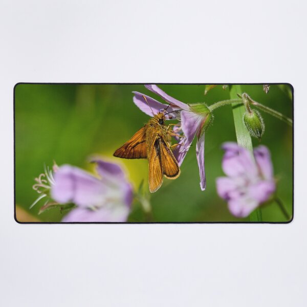 Item preview, Sweet. Large skipper designed and sold by Jouko Lehto Photography.