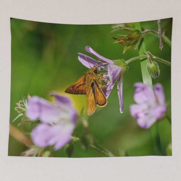 Item preview, Sweet. Large skipper designed and sold by Jouko Lehto Photography.