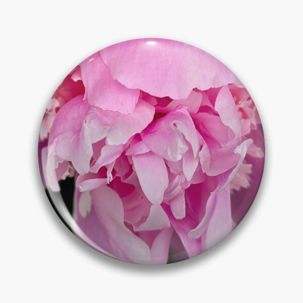 Item preview, Pink Peony Behind Metal Fence Photo designed and sold by NikaNavi.