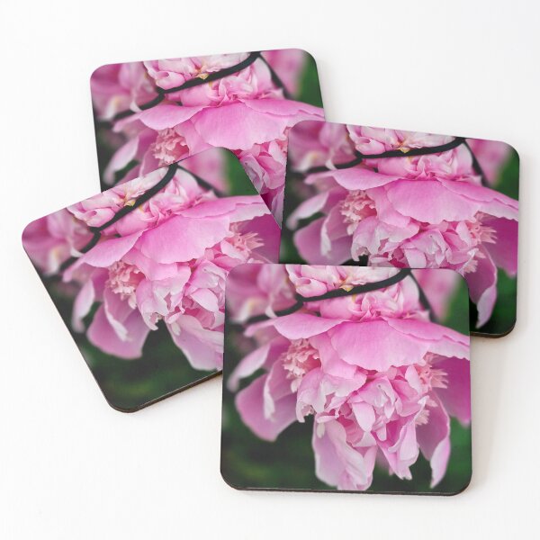 Item preview, Pink Peony Behind Metal Fence Photo designed and sold by NikaNavi.