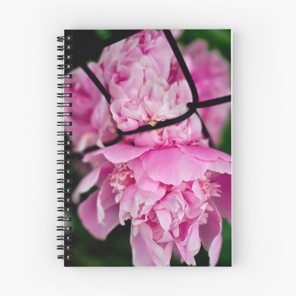 Item preview, Pink Peony Behind Metal Fence Photo designed and sold by NikaNavi.
