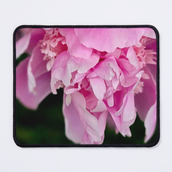 Item preview, Pink Peony Behind Metal Fence Photo designed and sold by NikaNavi.