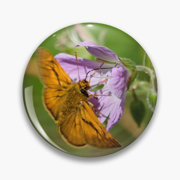 Item preview, Start time. Large skipper designed and sold by Jouko Lehto Photography.