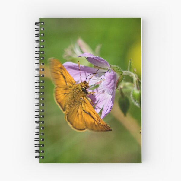 Item preview, Start time. Large skipper designed and sold by Jouko Lehto Photography.