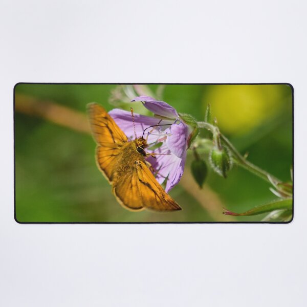 Item preview, Start time. Large skipper designed and sold by Jouko Lehto Photography.