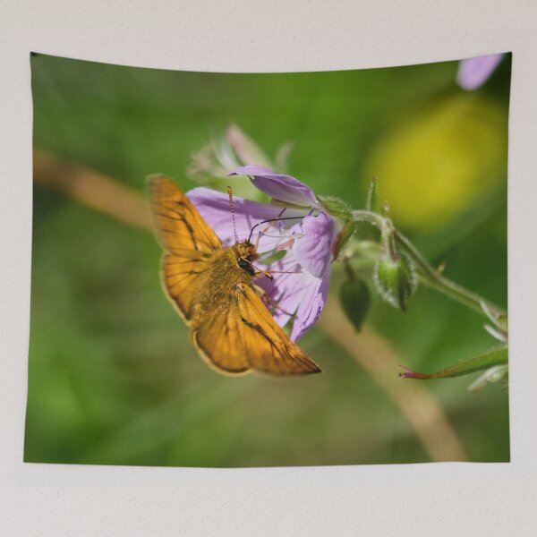 Item preview, Start time. Large skipper designed and sold by Jouko Lehto Photography.
