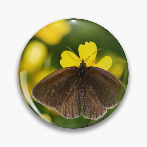 Item preview, A bit of chokolade. Ringlet designed and sold by Jouko Lehto Photography.
