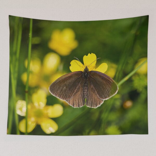 Item preview, A bit of chokolade. Ringlet designed and sold by Jouko Lehto Photography.
