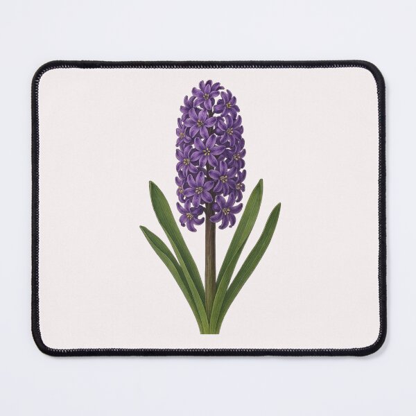 Item preview, Detailed Purple Hyacinth Flower Botanical Vintage designed and sold by lisdgoncalves.