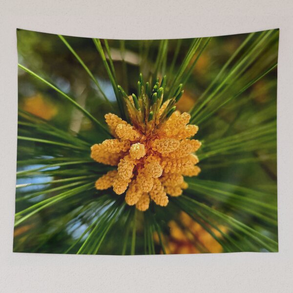 Item preview, Golden Pine Pollen Cones Macro Photo designed and sold by NikaNavi.