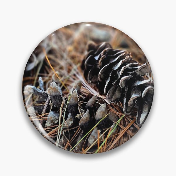 Item preview, Pine Cones on Forest Floor Photo designed and sold by NikaNavi.