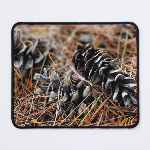 Item preview, Pine Cones on Forest Floor Photo designed and sold by NikaNavi.