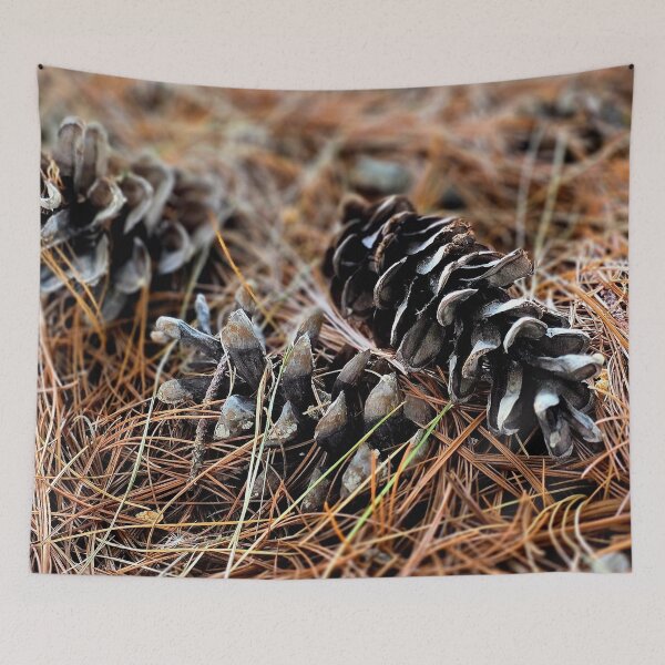 Item preview, Pine Cones on Forest Floor Photo designed and sold by NikaNavi.