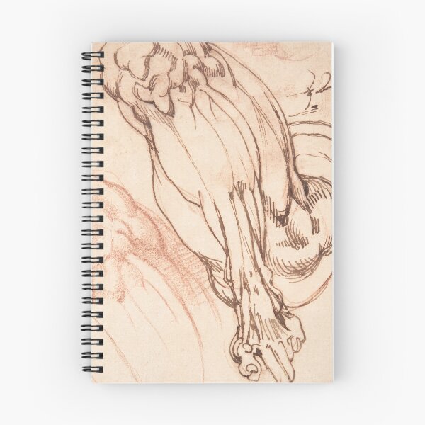 Item preview, Renaissance Anatomical Leg and Foot Study designed and sold by artofuniverse.
