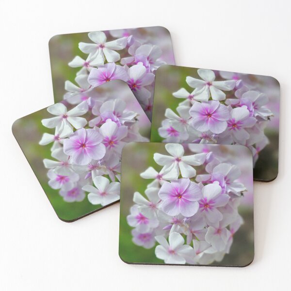 Item preview, Soft Pink and White Phlox Flowers Photo designed and sold by NikaNavi.