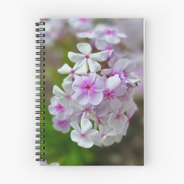 Item preview, Soft Pink and White Phlox Flowers Photo designed and sold by NikaNavi.
