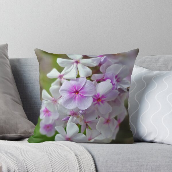 Item preview, Soft Pink and White Phlox Flowers Photo designed and sold by NikaNavi.