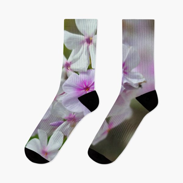 Item preview, Soft Pink and White Phlox Flowers Photo designed and sold by NikaNavi.