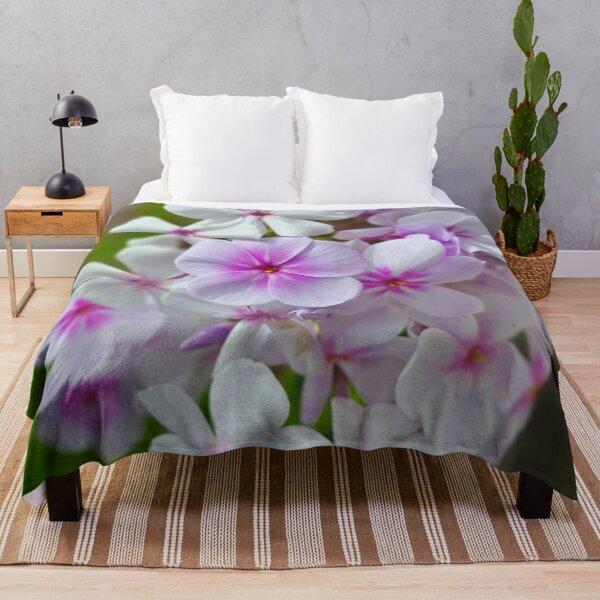 Item preview, Soft Pink and White Phlox Flowers Photo designed and sold by NikaNavi.