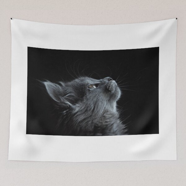 Aperçu de l'œuvre Kitty Gris créée et vendue par memedream.