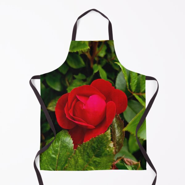 Item preview, Red Rose Among Green Leaves Photo designed and sold by NikaNavi.