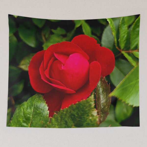 Item preview, Red Rose Among Green Leaves Photo designed and sold by NikaNavi.