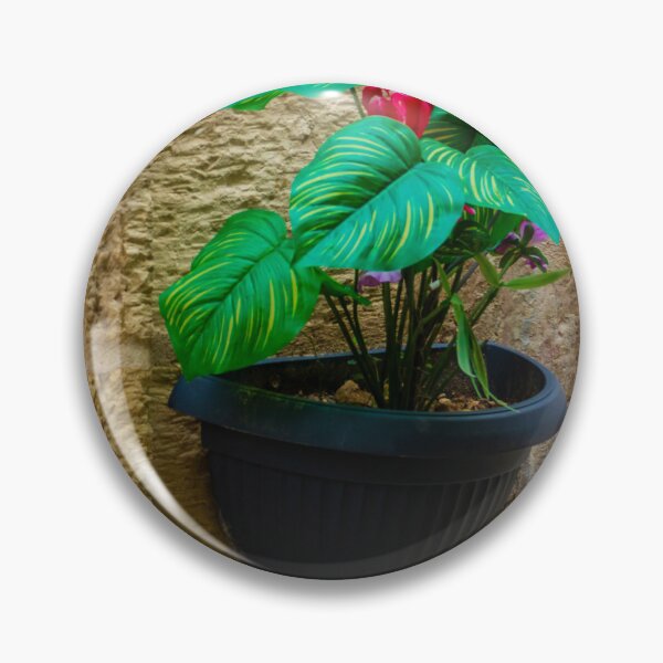 Item preview, Green Houseplant With Pink Flowers in Wall-Mounted Black Planter Against Textured Stone Wall designed and sold by Nmallia.