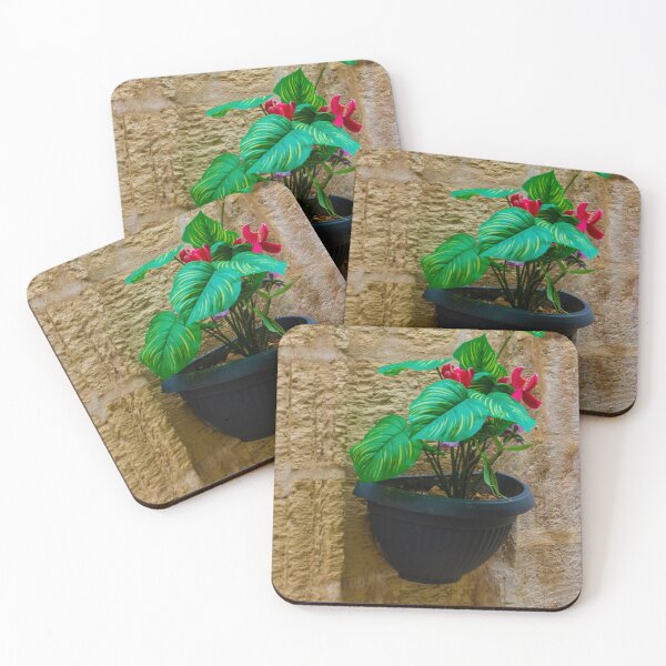 Item preview, Green Houseplant With Pink Flowers in Wall-Mounted Black Planter Against Textured Stone Wall designed and sold by Nmallia.