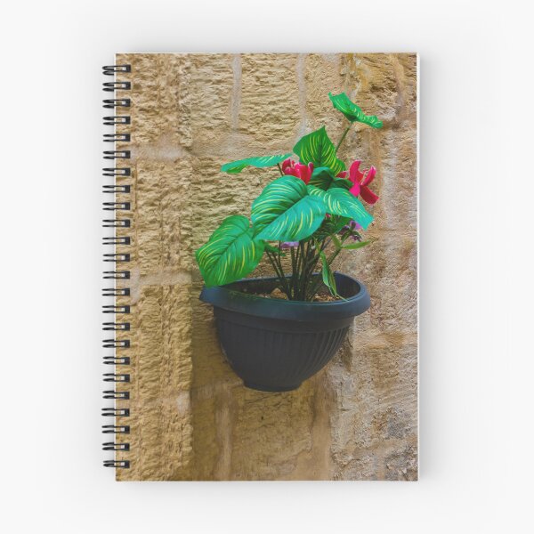 Item preview, Green Houseplant With Pink Flowers in Wall-Mounted Black Planter Against Textured Stone Wall designed and sold by Nmallia.
