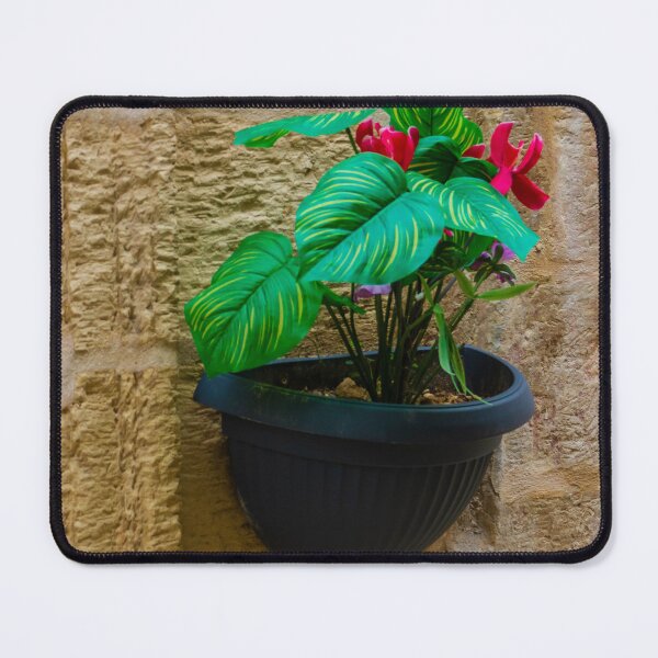 Item preview, Green Houseplant With Pink Flowers in Wall-Mounted Black Planter Against Textured Stone Wall designed and sold by Nmallia.