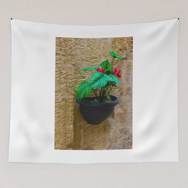 Item preview, Green Houseplant With Pink Flowers in Wall-Mounted Black Planter Against Textured Stone Wall designed and sold by Nmallia.