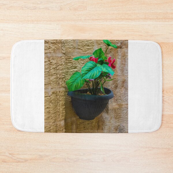 Item preview, Green Houseplant With Pink Flowers in Wall-Mounted Black Planter Against Textured Stone Wall designed and sold by Nmallia.