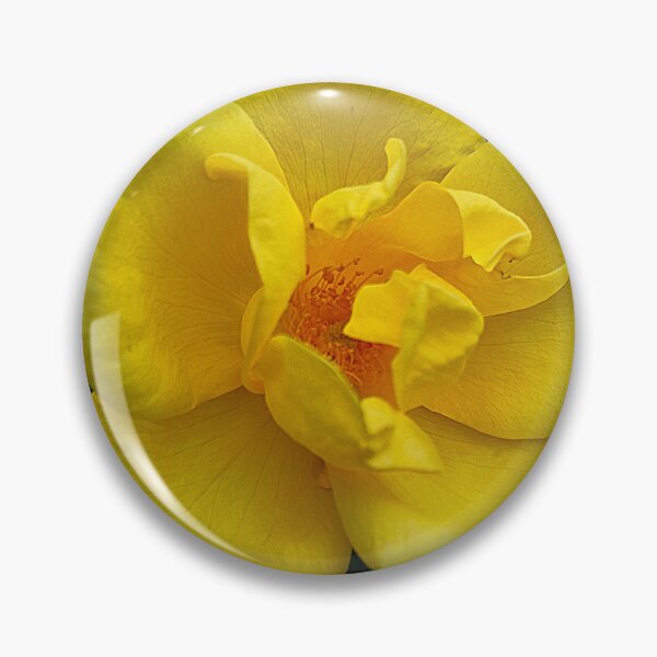 Item preview, Yellow Rose Flower Photo designed and sold by NikaNavi.