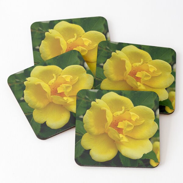 Item preview, Yellow Rose Flower Photo designed and sold by NikaNavi.
