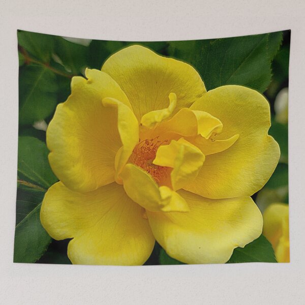Item preview, Yellow Rose Flower Photo designed and sold by NikaNavi.