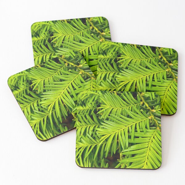 Item preview, Fresh Green Yew Needles Nature Photo designed and sold by NikaNavi.