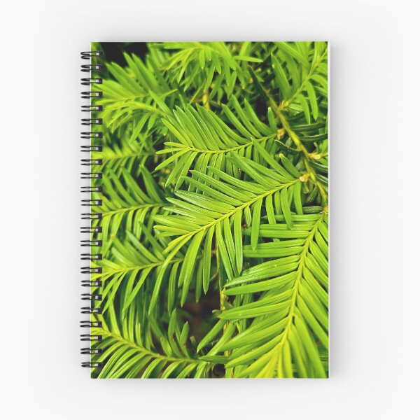 Item preview, Fresh Green Yew Needles Nature Photo designed and sold by NikaNavi.