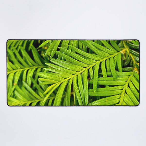 Item preview, Fresh Green Yew Needles Nature Photo designed and sold by NikaNavi.