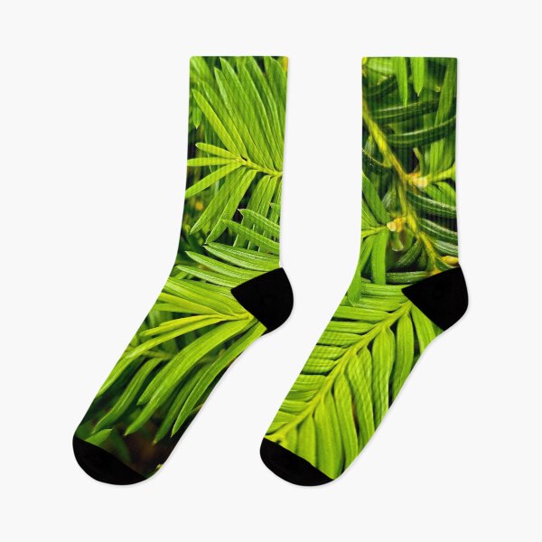 Item preview, Fresh Green Yew Needles Nature Photo designed and sold by NikaNavi.