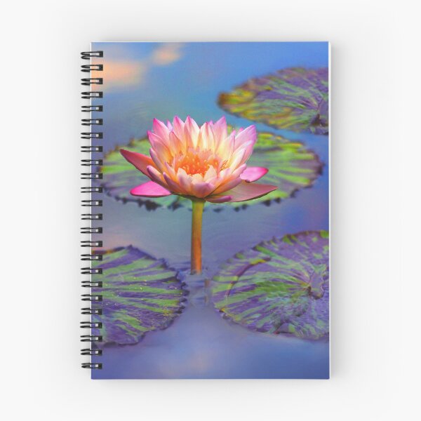 Item preview, Singular Sensation designed and sold by Jessica Jenney.