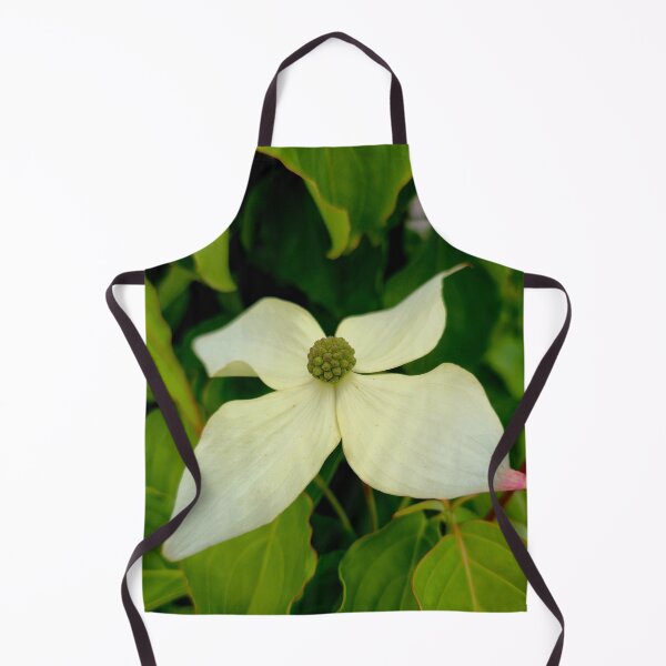 Item preview, White Kousa Dogwood Flower Photo designed and sold by NikaNavi.
