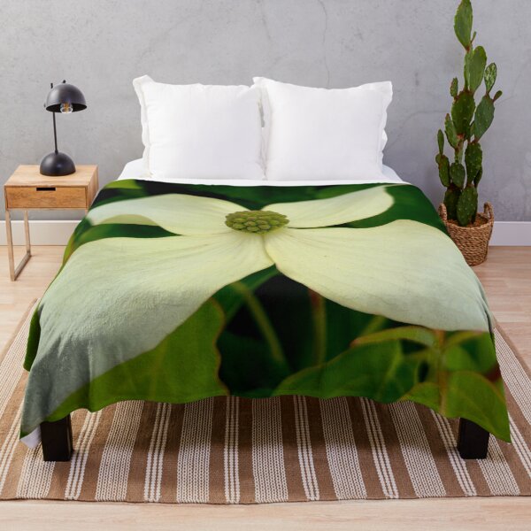 Item preview, White Kousa Dogwood Flower Photo designed and sold by NikaNavi.