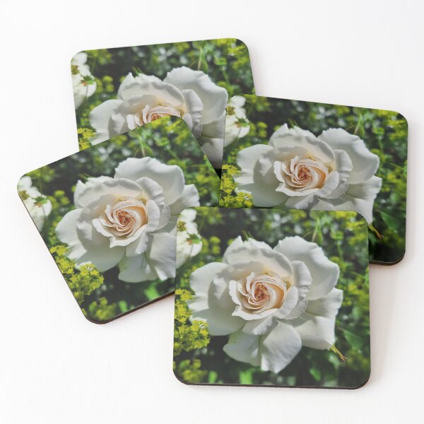 Item preview, Cream White Rose Garden Photo designed and sold by FoxPix.