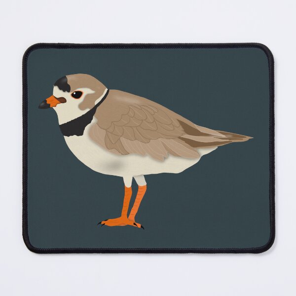 Item preview, Adult Piping Plover designed and sold by BDBirds.